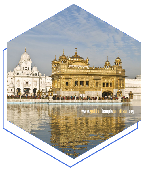 SEO Company in Amritsar | SEO Experts Amritsar