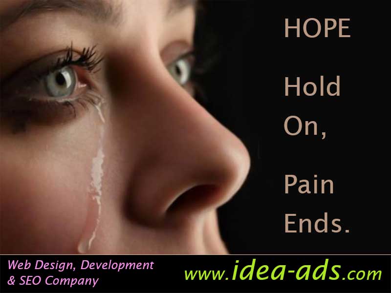 Website Designing | Web Development | SEO Companies