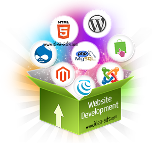 website and software development company in india amritsar