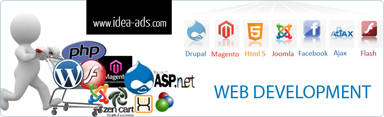 website development company in india amritsar